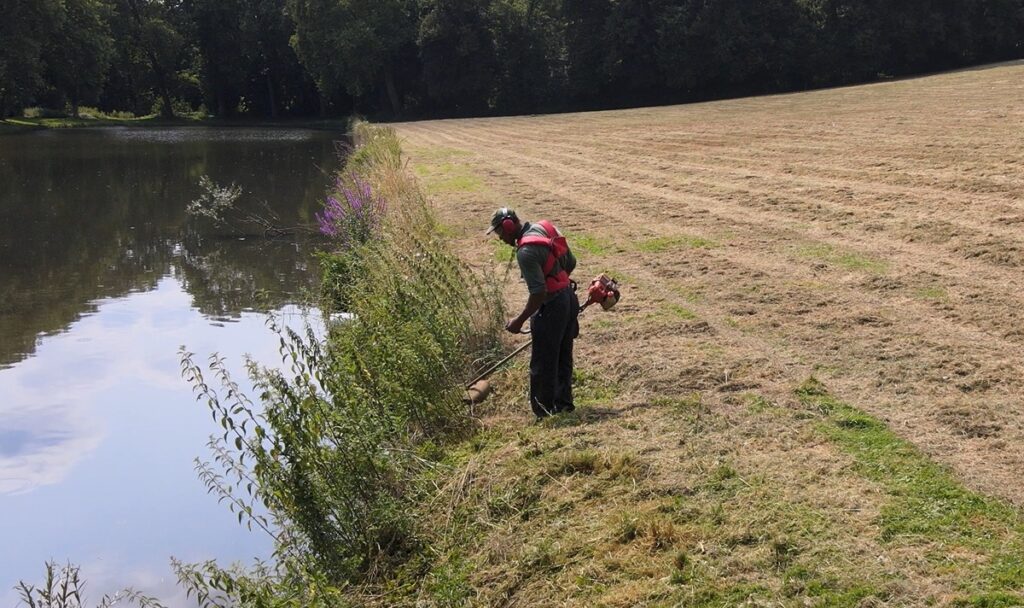 Débroussailleuse thermique