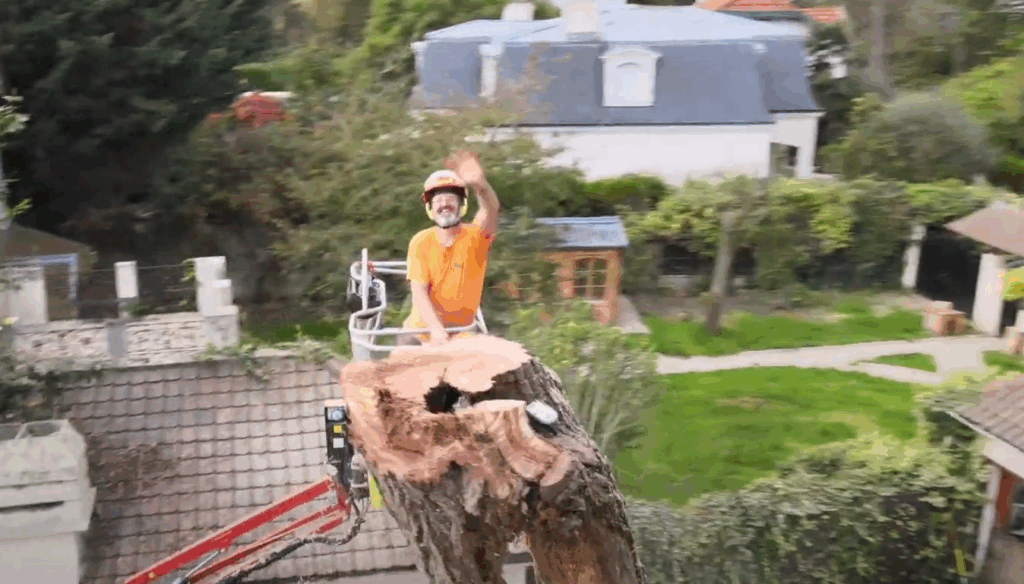 Lelievre paysagiste 77