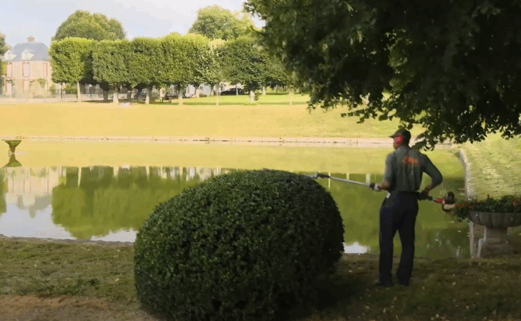 l'expertise de la taille par Lelievre paysage, entreprise d'entretien d'espaces verts à Bry-sur-Marne