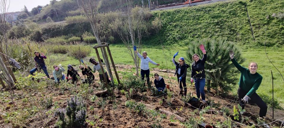 Projets environnementaux chez Lelièvre : reforestation au Brésil