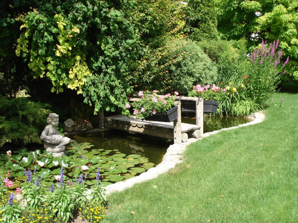 Bassin dans un jardin de particulier à Noisy le Grand