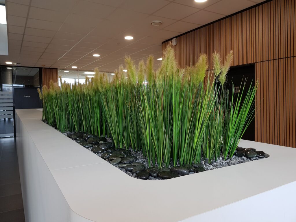 Plantes vertes sans entretien pour intérieur