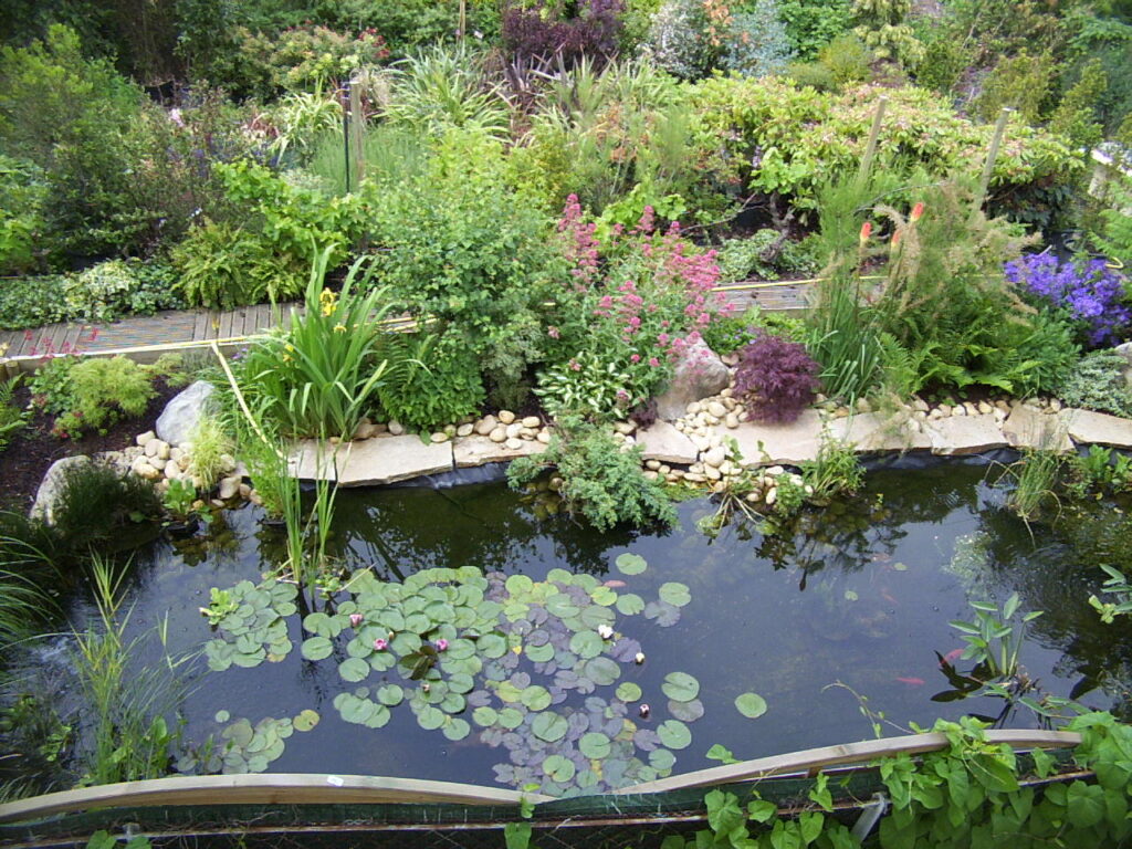 Bassin dans un parc en val de marne