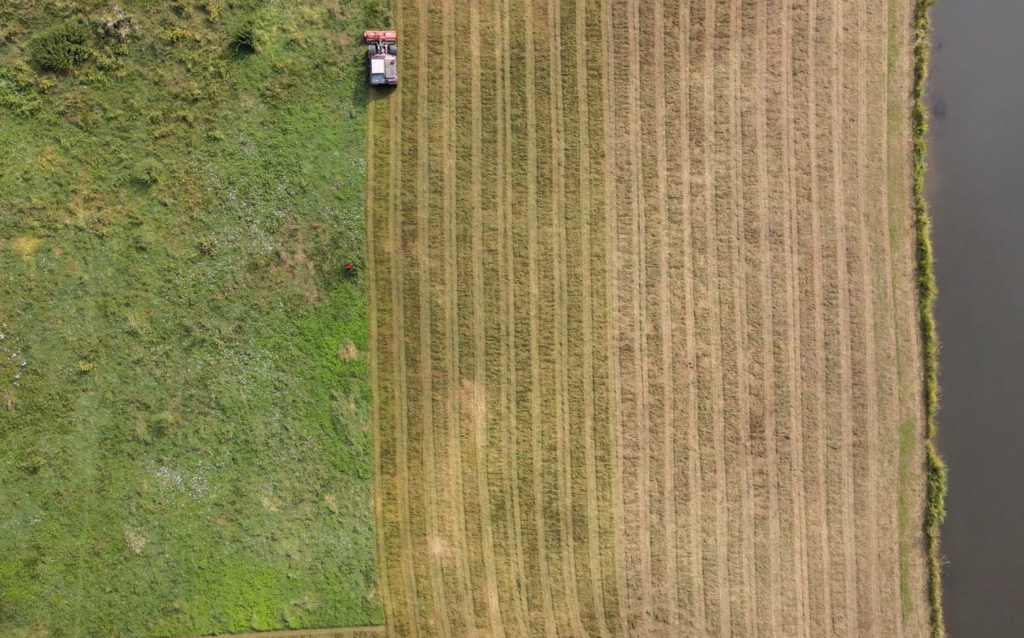 Girobroyage en cours à Ormesson-sur-Marne (94)
