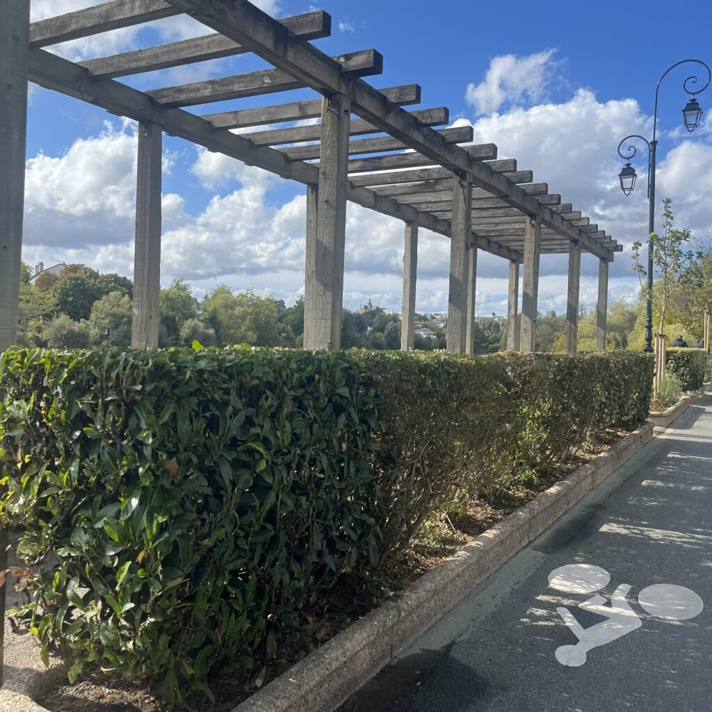 Haies taillées aux bords de marne de Bry-sur-Marne (94)