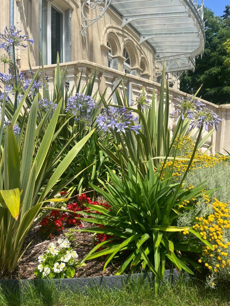 Massif entretenu à Vincennes