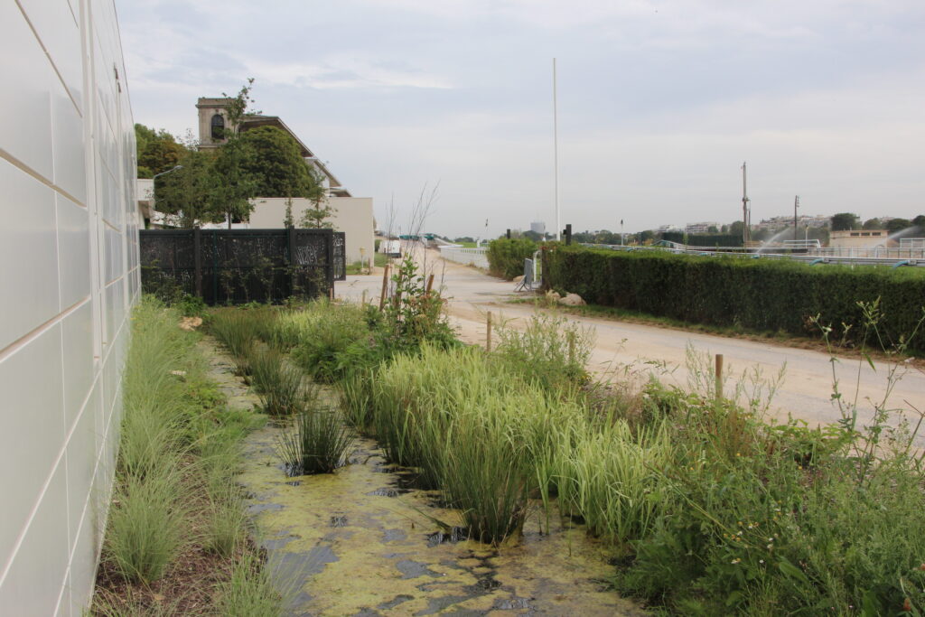 Bassin naturel à l'OPH paris habitat