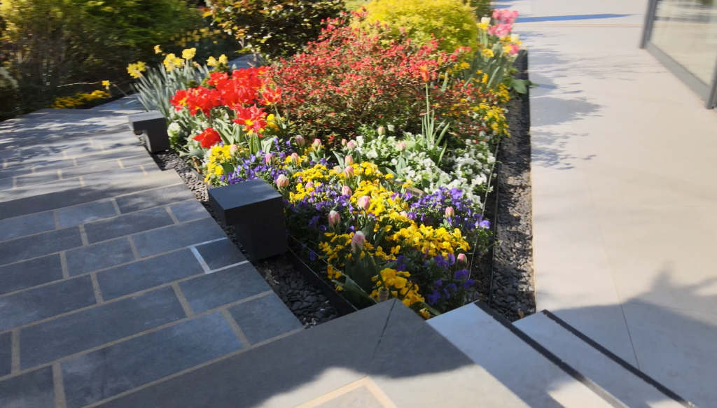 Massif fleuri en jardin de particulier