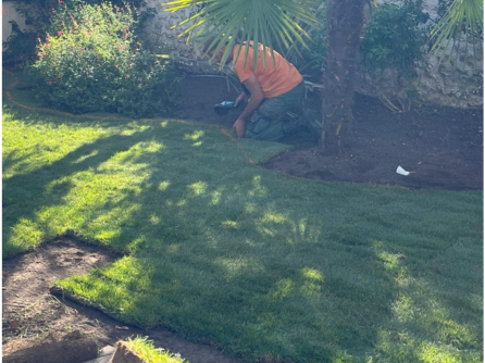 Découpage de gazon de placage