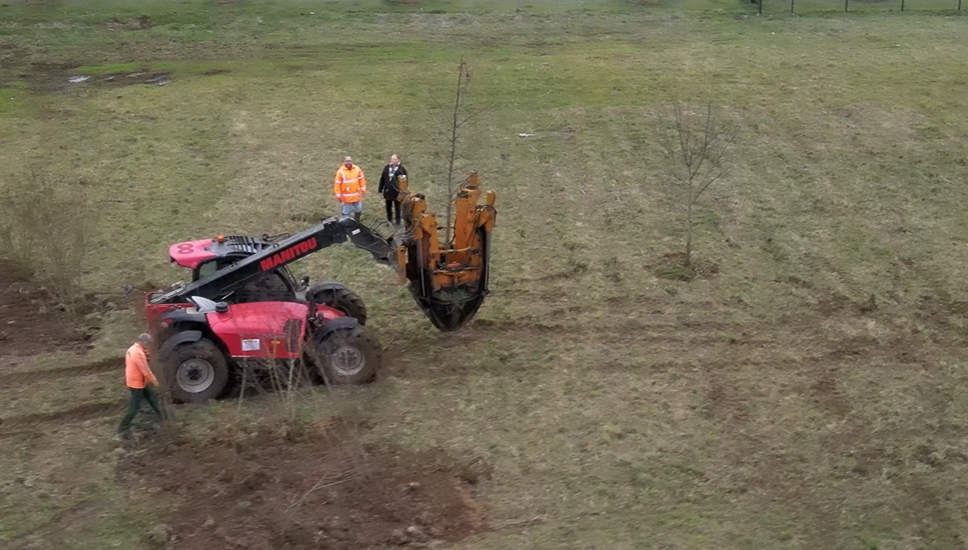 Transplantation d'un arbre 77