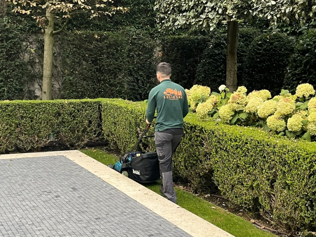 Passage de tondeuse électrique pour jardin particulier à Paris