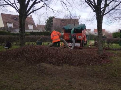 Ramassage de feuilles à l'aspirateur à Villiers sur Marne