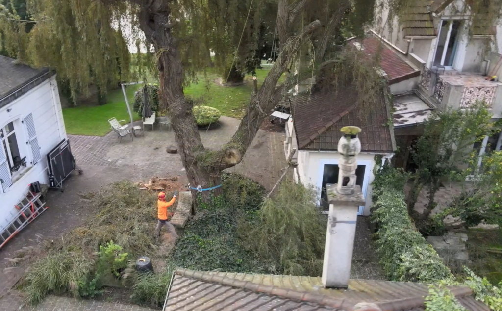 rétention de branches avec abattage Le Perreux sur marne