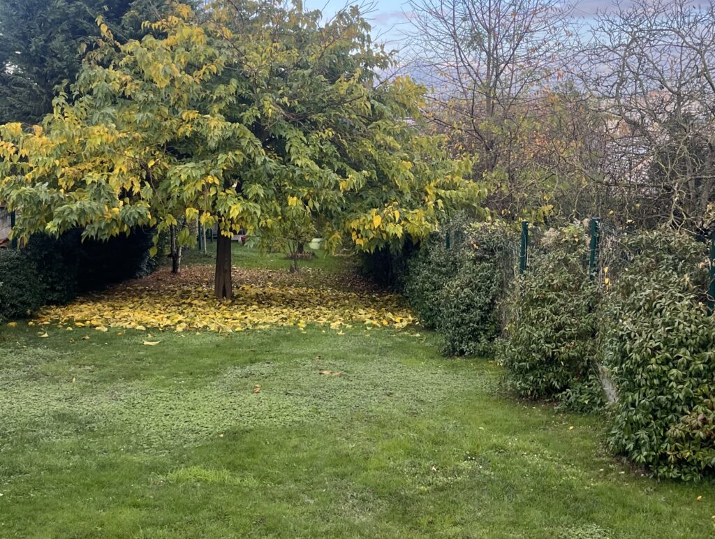 Soufflage et ramassage de feuilles en cours