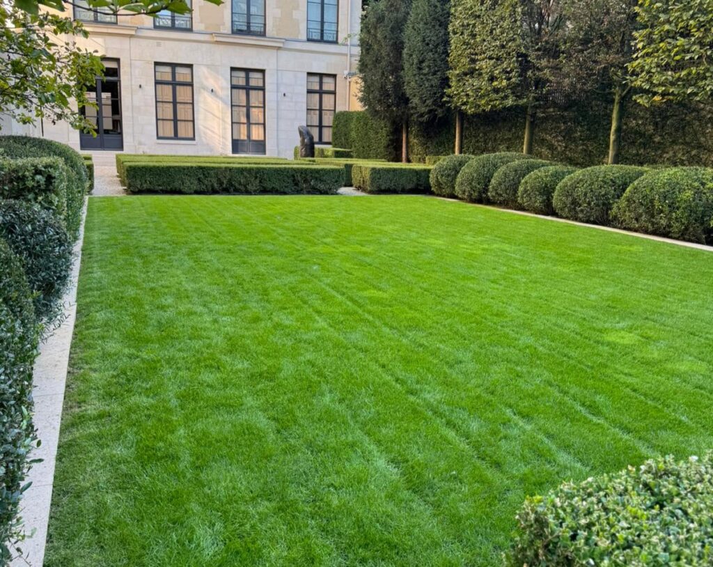 Résultat d'une pelouse entretenue chaque semaine en région parisienne